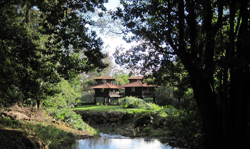 Quinta Das Eiras Hotel Santo Antonio da Serra Exterior photo