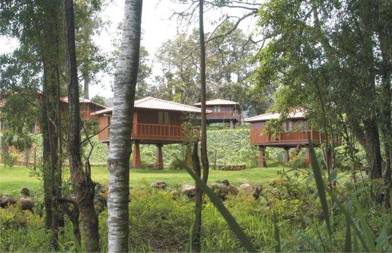 Quinta Das Eiras Hotel Santo Antonio da Serra Exterior photo