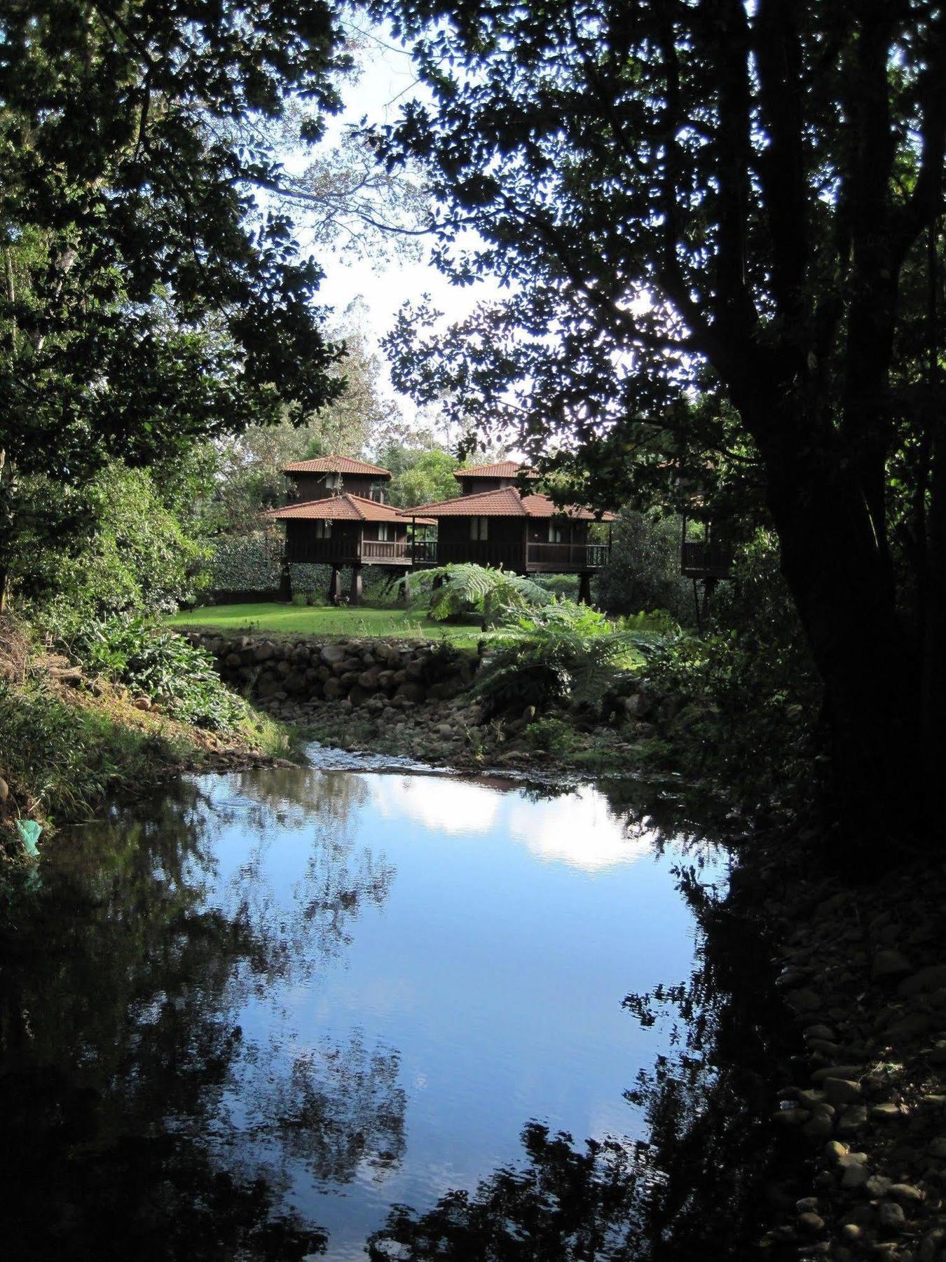 Quinta Das Eiras Hotel Santo Antonio da Serra Exterior photo